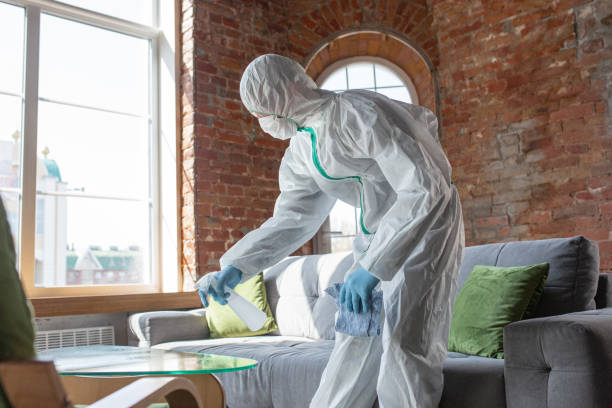 Best Mold Odor Removal Services in Pleasant Hill, CA