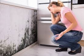 Pleasant Hill, CA Mold Removal Company